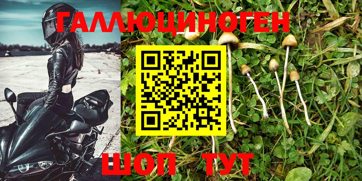 Псилоцибиновые грибы ЛСД  Вход с VPN  Черняховск  Псилоцибиновые грибы MAGIC MUSHROOMS 