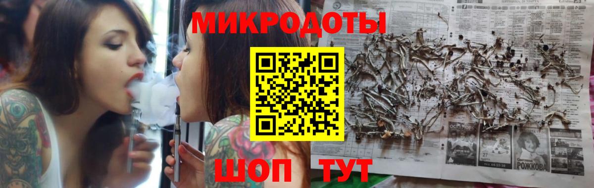 Псилоцибиновые грибы Psilocybine cubensis Черняховск