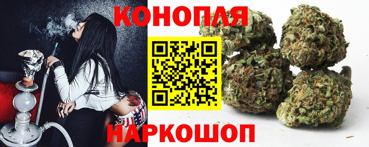 Конопля OG Kush Черняховск